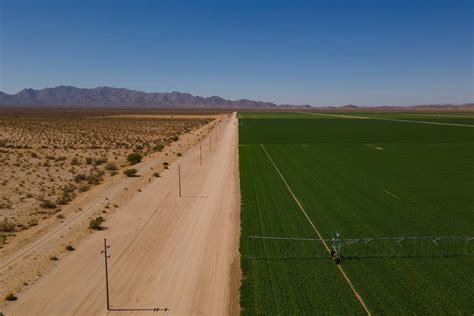 Arizona to cancel leases allowing Saudi-owned farm access to state’s groundwater